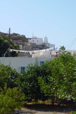 DSC03306