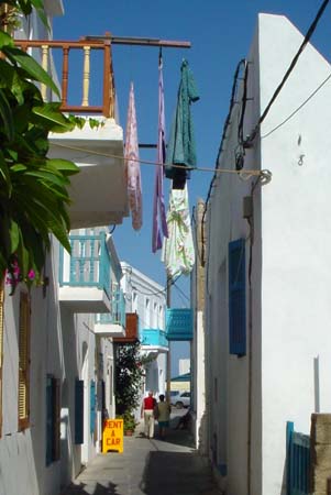 DSC03310
