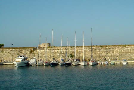DSC03319