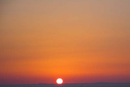 DSC03371