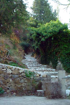 DSC03452