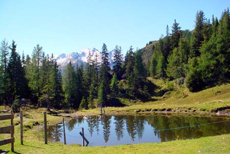 DSC02050
