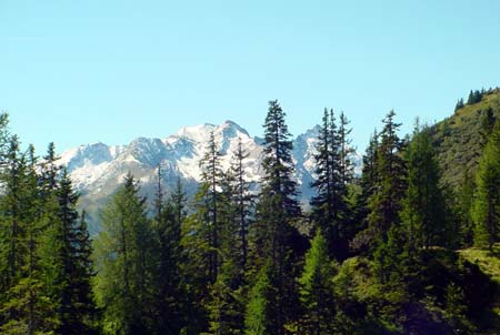 DSC02051