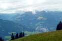 DSC01987