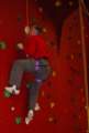 Photo Number 13